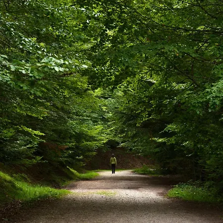 Montibel By Bevalle * Panticosa