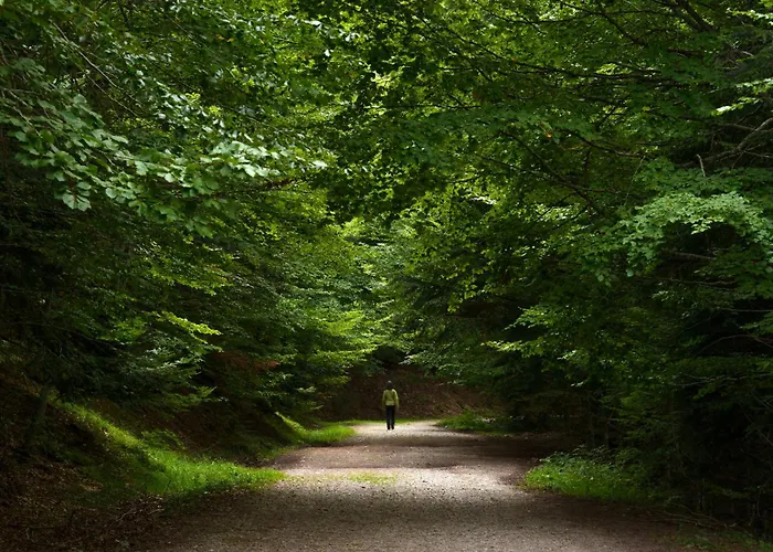 Montibel By Bevalle * Panticosa