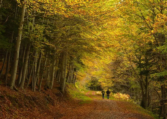 Apartment Montibel By Bevalle Panticosa